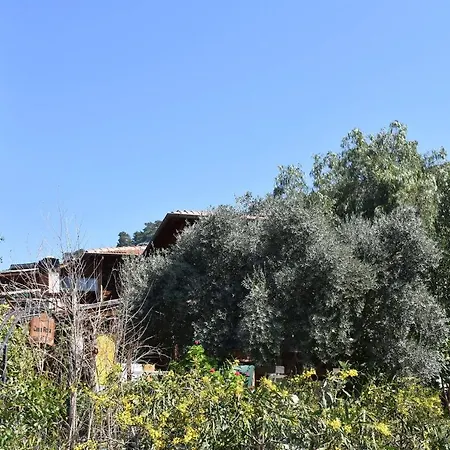 Casa Roja 法拉尔雅