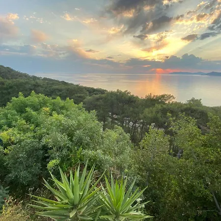 Casa Roja 홈스테이