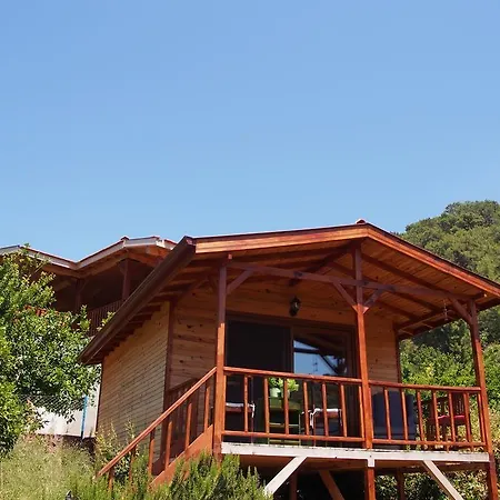 Casa Roja 法拉尔雅