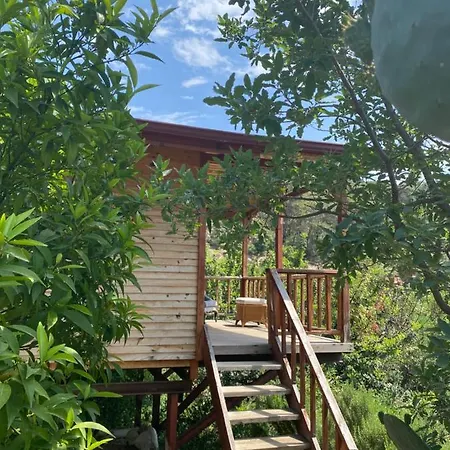 Casa Roja בית אירוח *