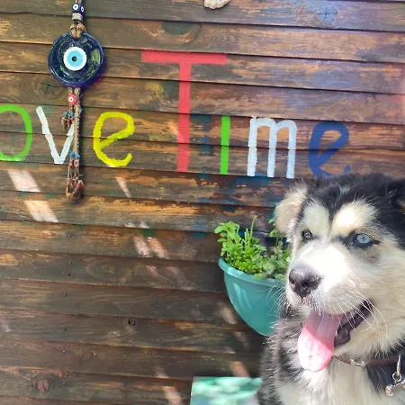 Casa Roja בית אירוח *