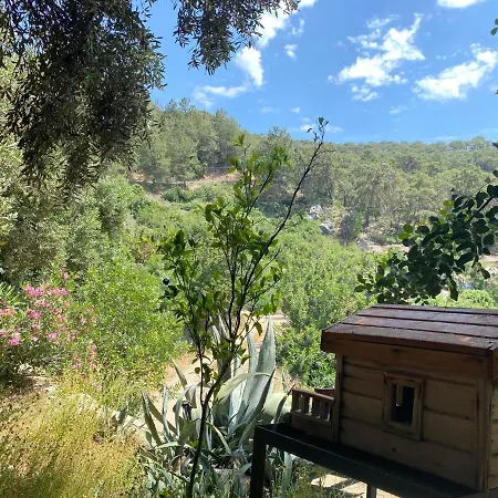 Casa Roja בית אירוח *