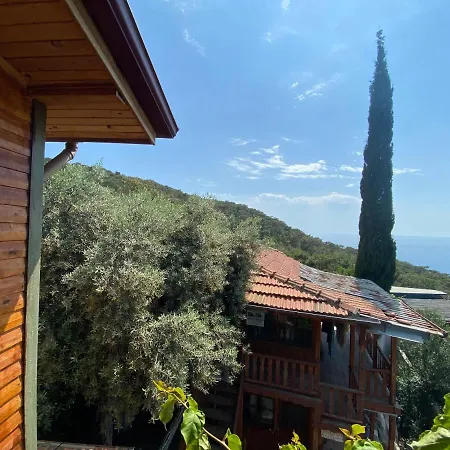 בית אירוח Casa Roja Cedit