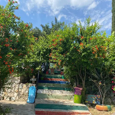 בית אירוח Casa Roja Cedit