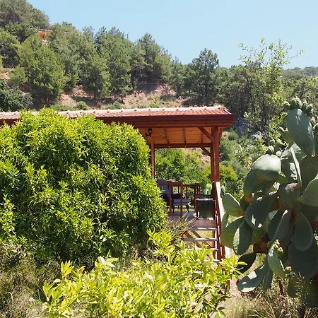 Casa Roja Faralya
