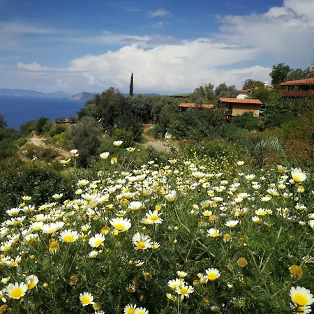 בית אירוח Casa Roja Cedit