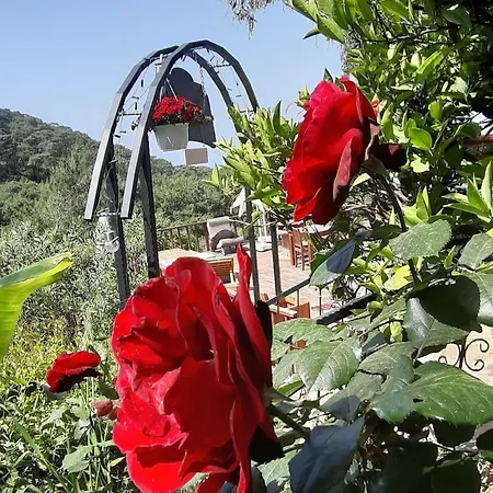 Casa Roja בית אירוח *